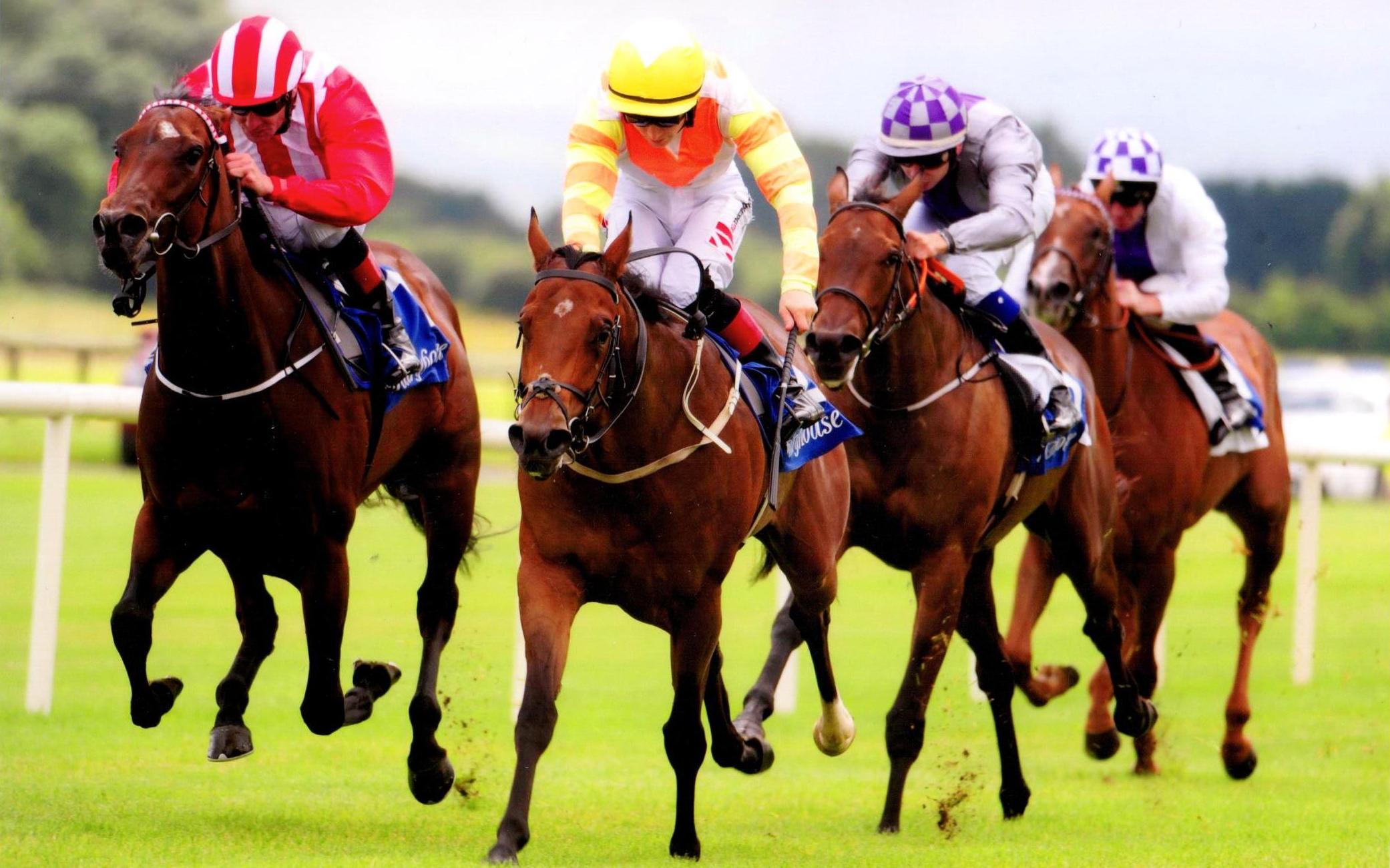 BLUE ULURU lands her maiden for owner Nicholas Varney at Fairyhouse 23rd July 2017